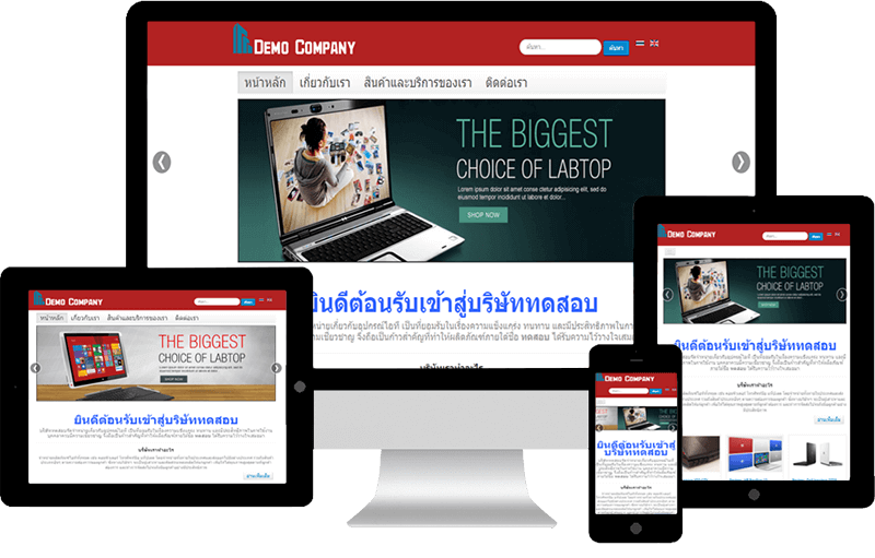 Responsive Website Responsive Website